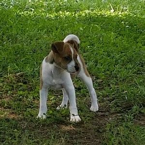 Meet your Posher, Melanie